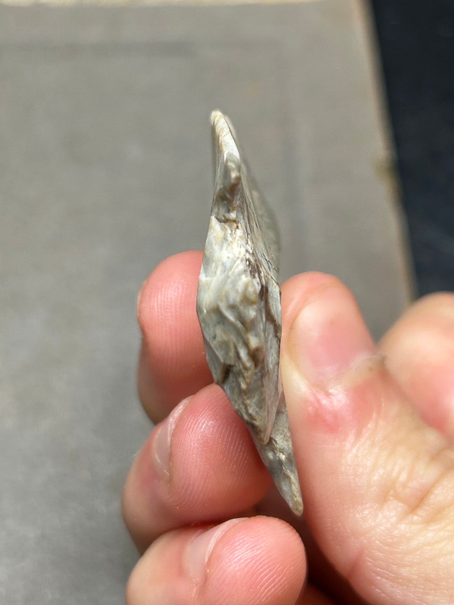 Hamilton Stemmed Native American Arrowhead Found In Kentucky