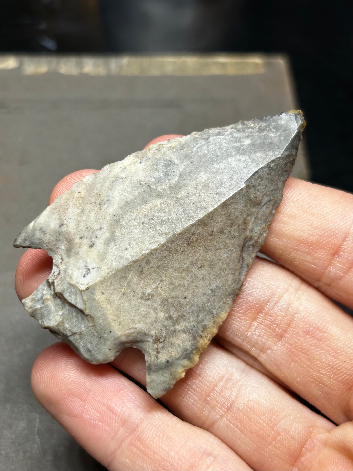 Hamilton Stemmed Native American Arrowhead Found In Kentucky