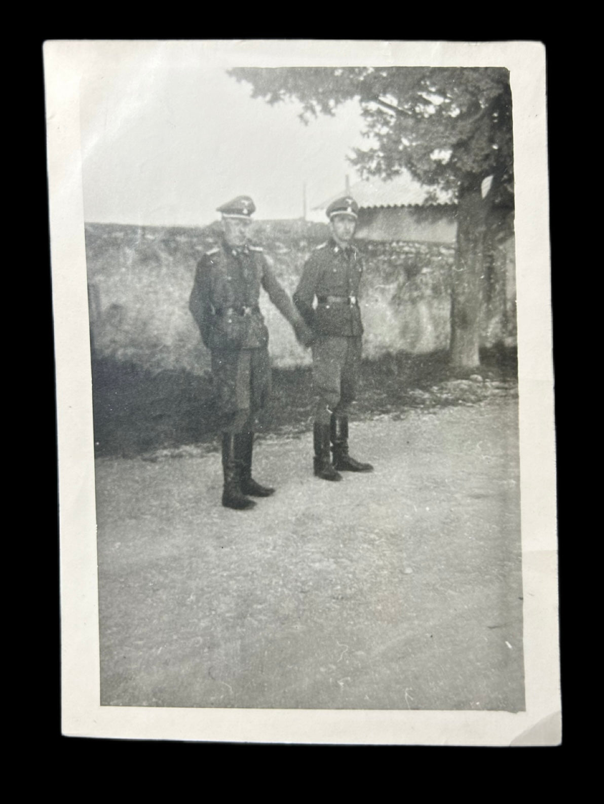 Original Early Waffen SS Photo W/ Writing On Back