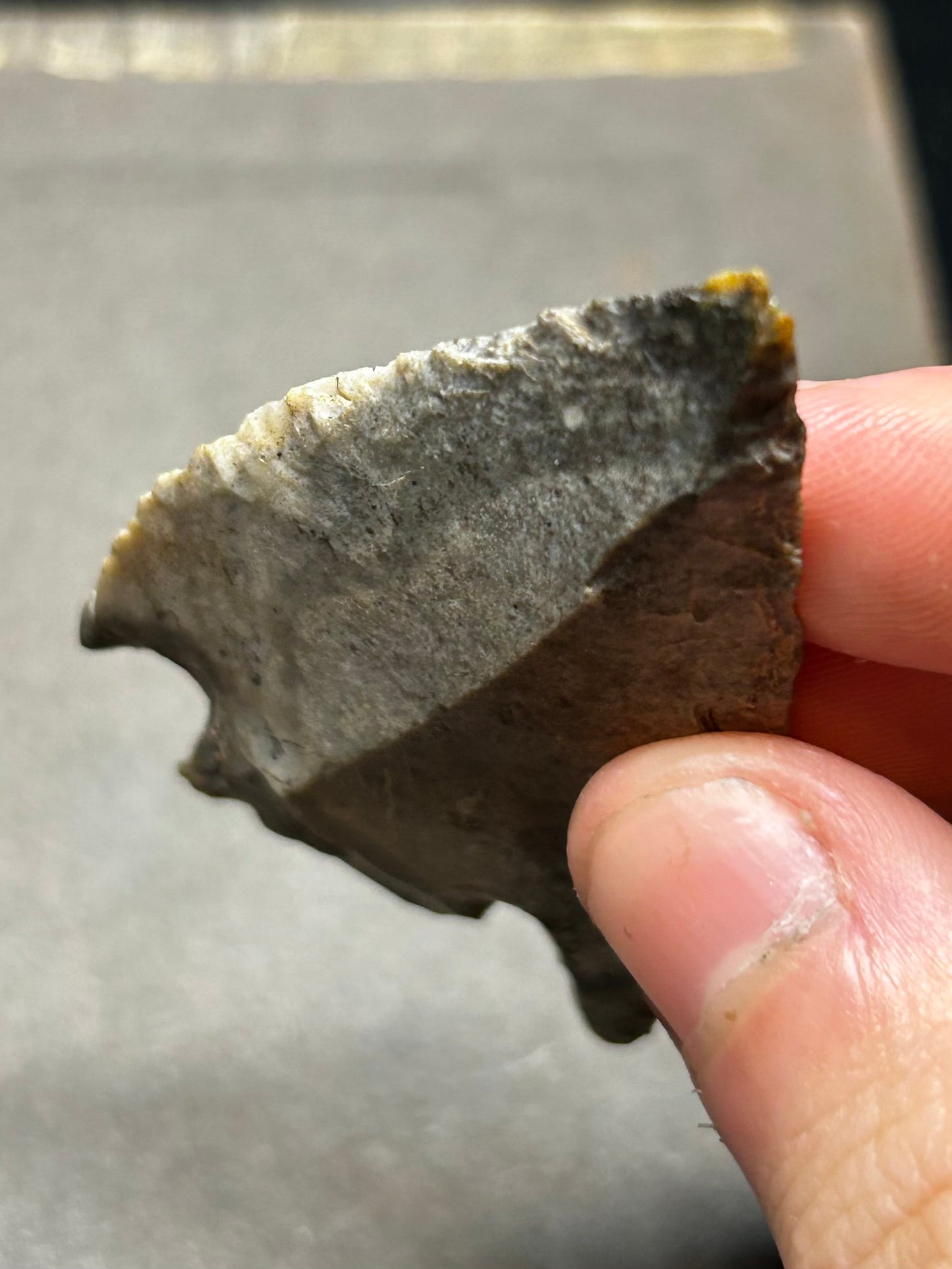 Hamilton Stemmed Native American Arrowhead Found In Kentucky