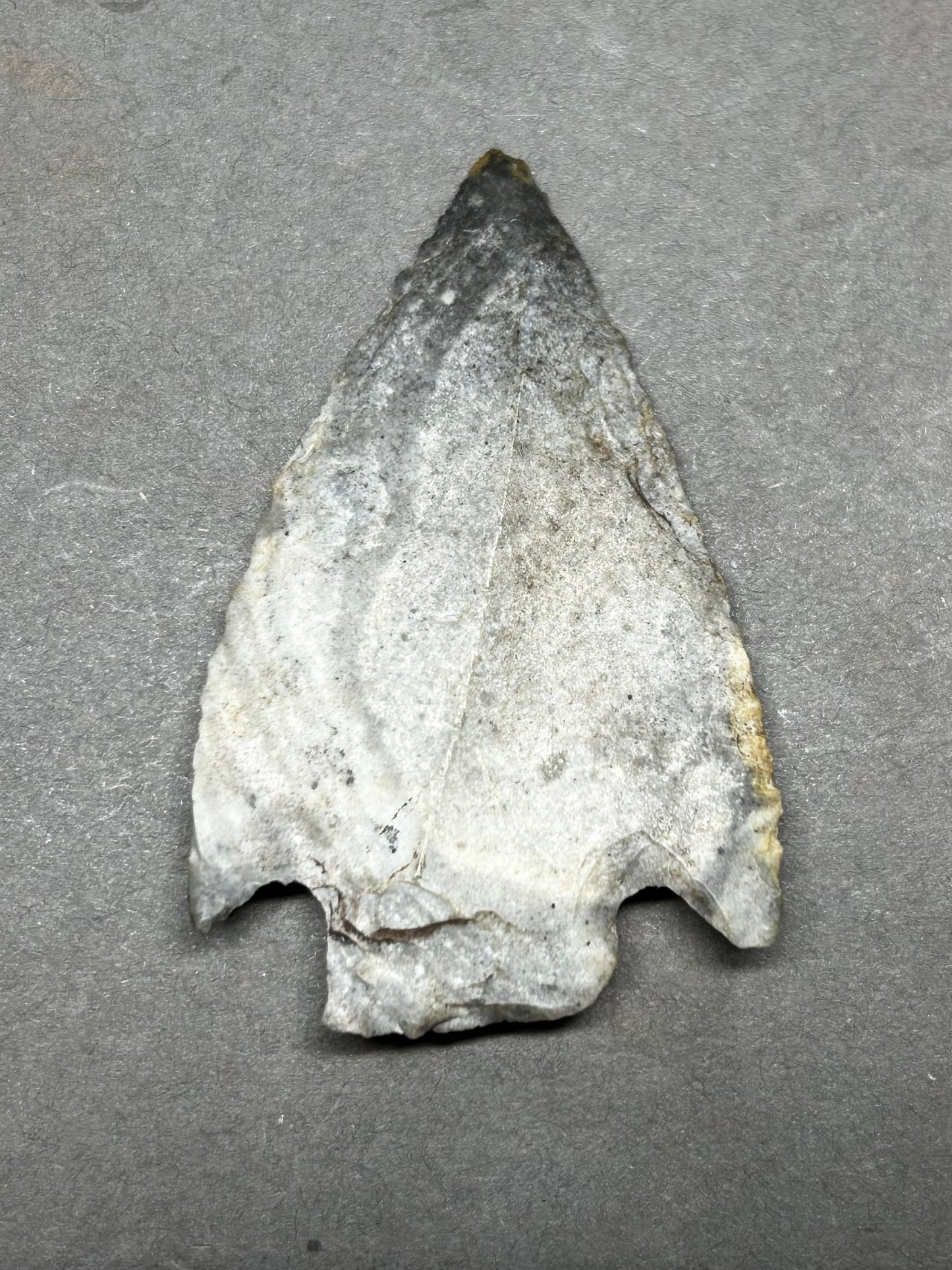 Hamilton Stemmed Native American Arrowhead Found In Kentucky