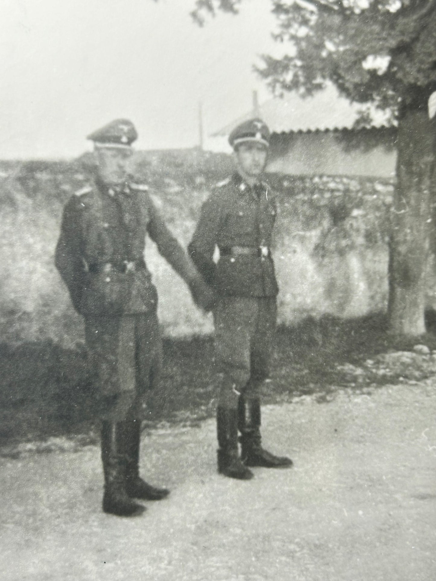 Original Early Waffen SS Photo W/ Writing On Back