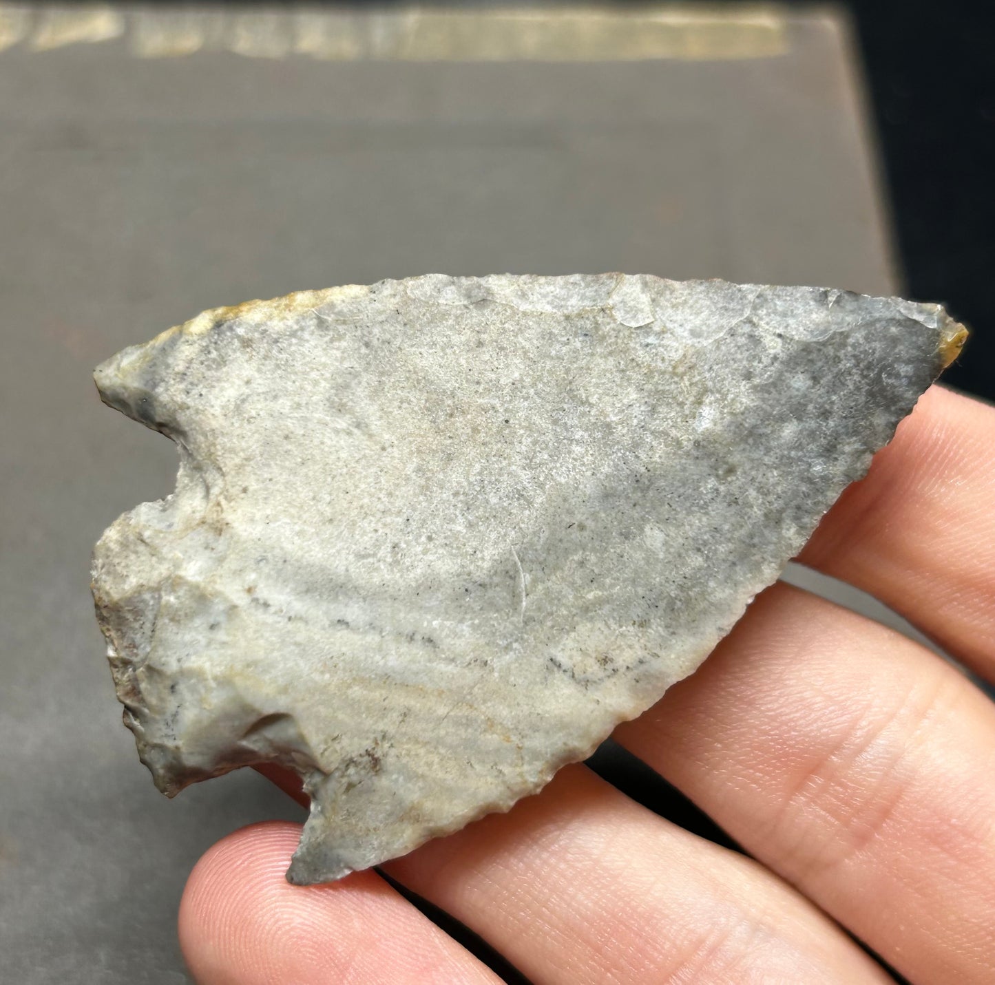 Hamilton Stemmed Native American Arrowhead Found In Kentucky